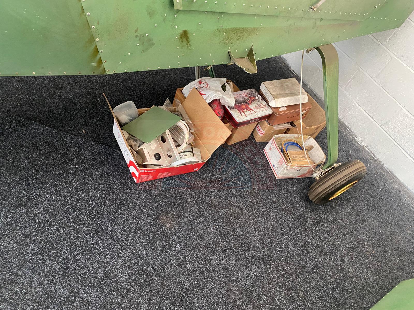 The sun shines on the mountains and trees (by Adam Kool on Unsplash)