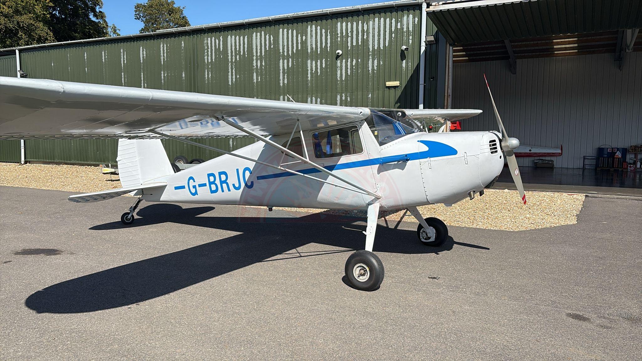 The sun shines on the mountains and trees (by Adam Kool on Unsplash)