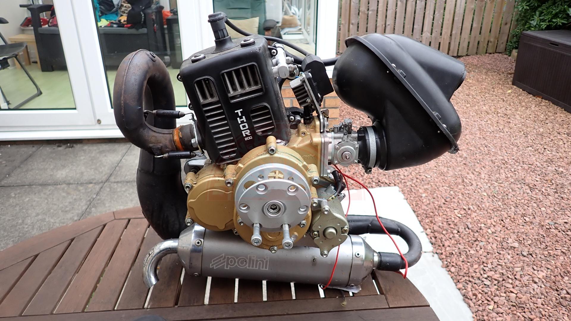 The sun shines on the mountains and trees (by Adam Kool on Unsplash)