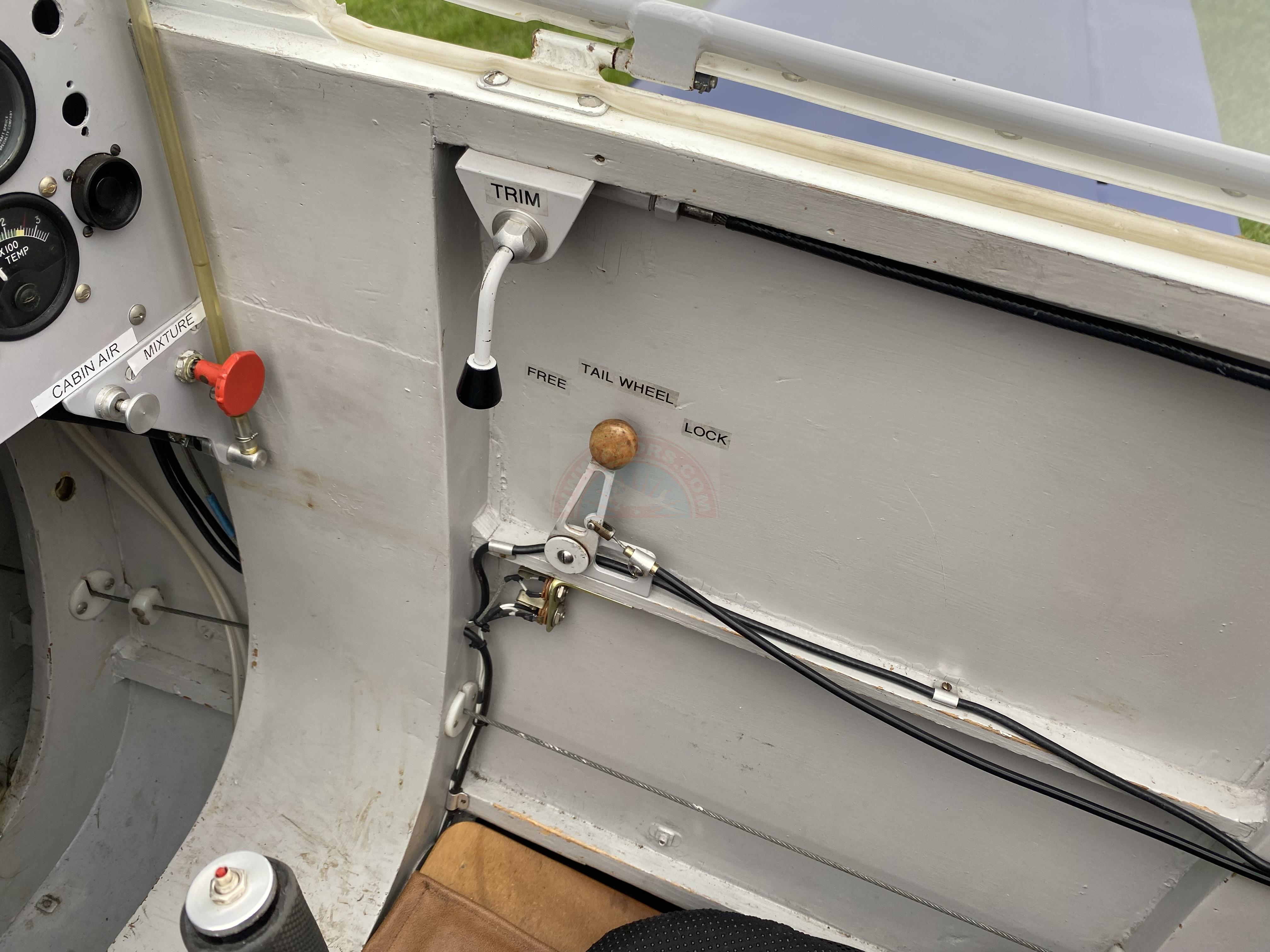 The sun shines on the mountains and trees (by Adam Kool on Unsplash)