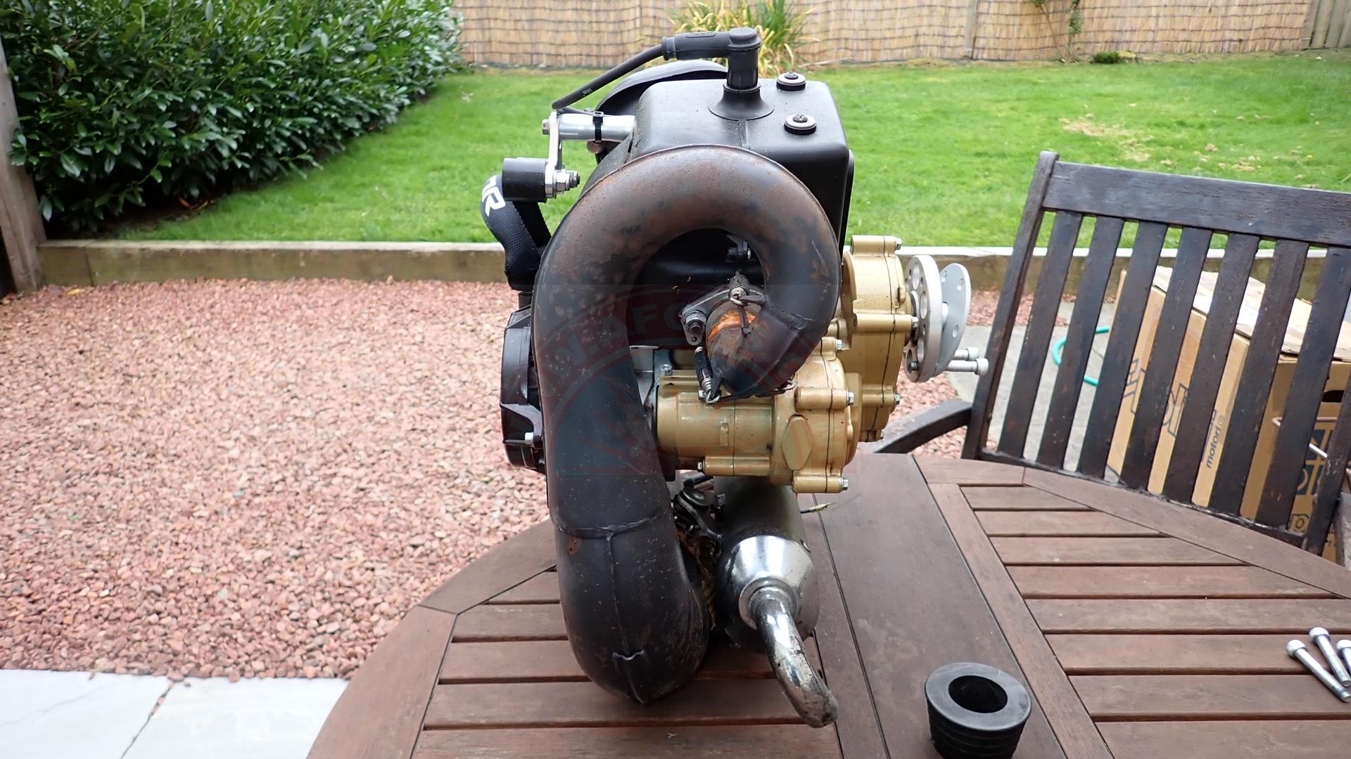 The sun shines on the mountains and trees (by Adam Kool on Unsplash)