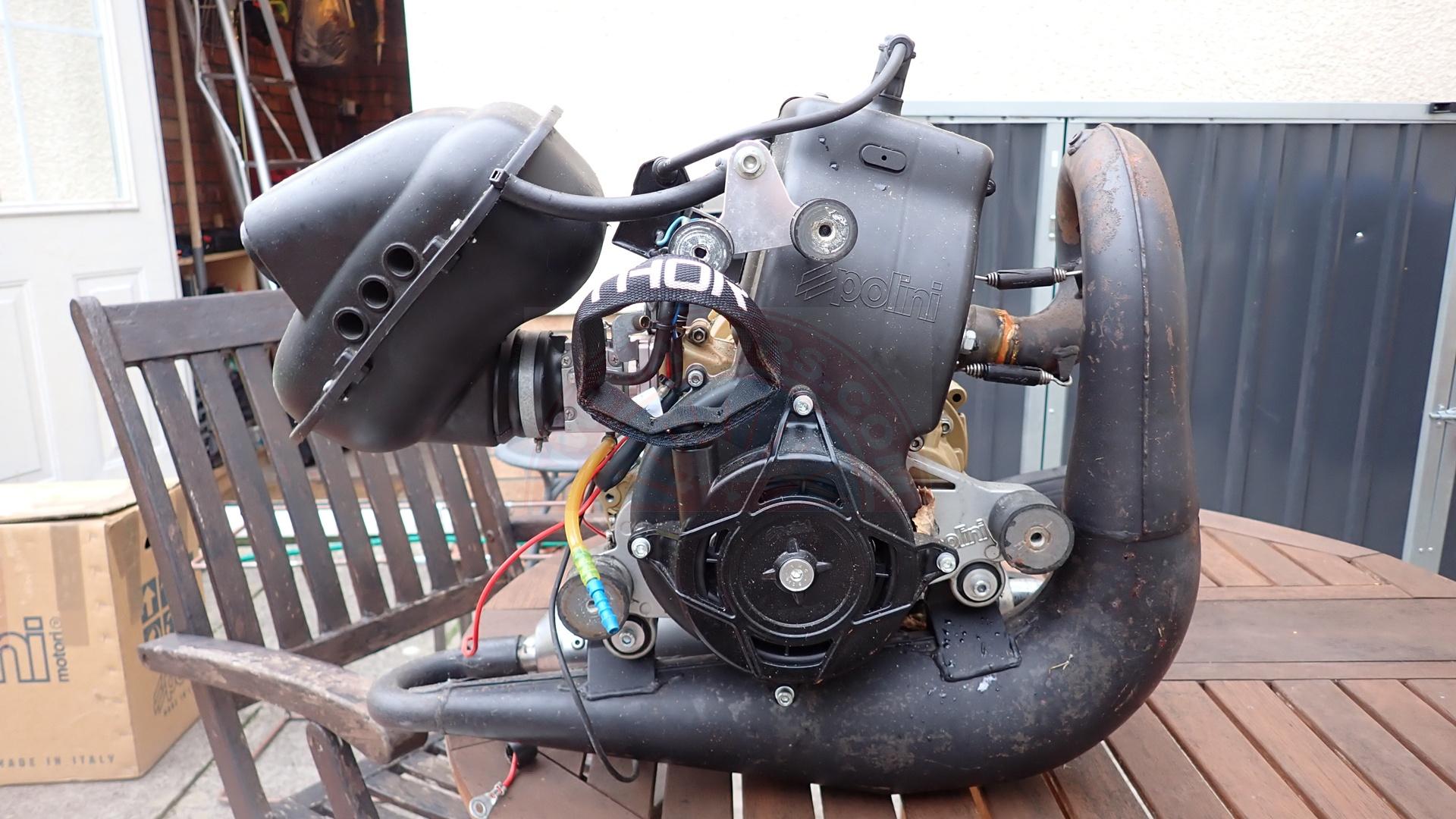 The sun shines on the mountains and trees (by Adam Kool on Unsplash)