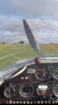 The sun shines on the mountains and trees (by Adam Kool on Unsplash)