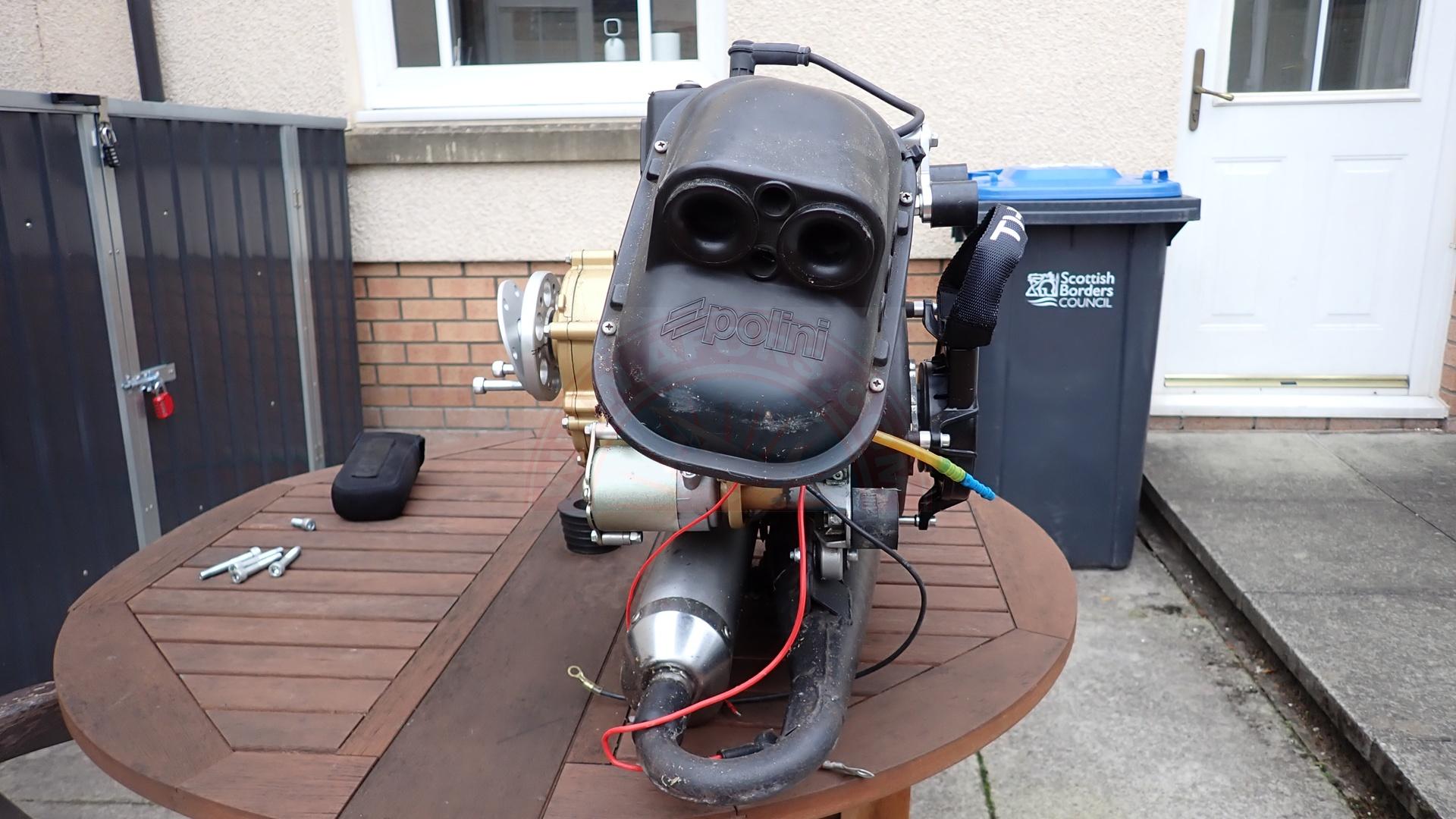 The sun shines on the mountains and trees (by Adam Kool on Unsplash)