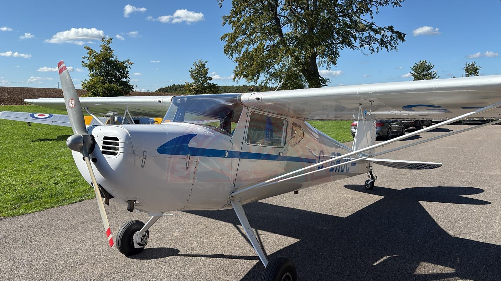 The sun shines on the mountains and trees (by Adam Kool on Unsplash)