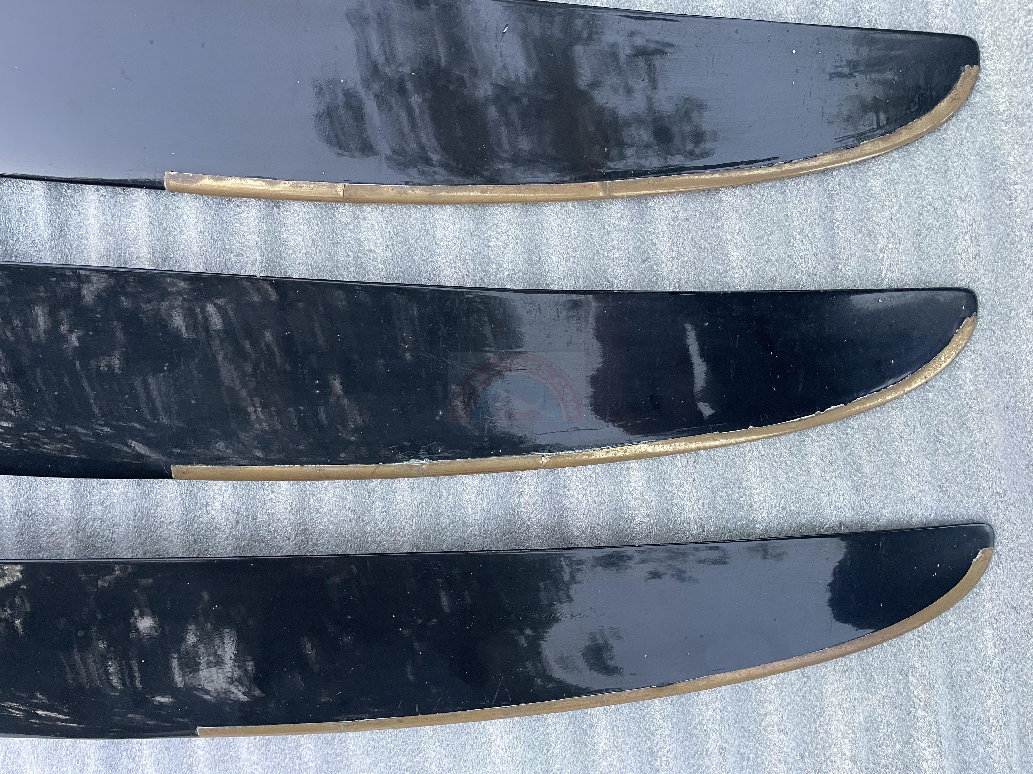 The sun shines on the mountains and trees (by Adam Kool on Unsplash)