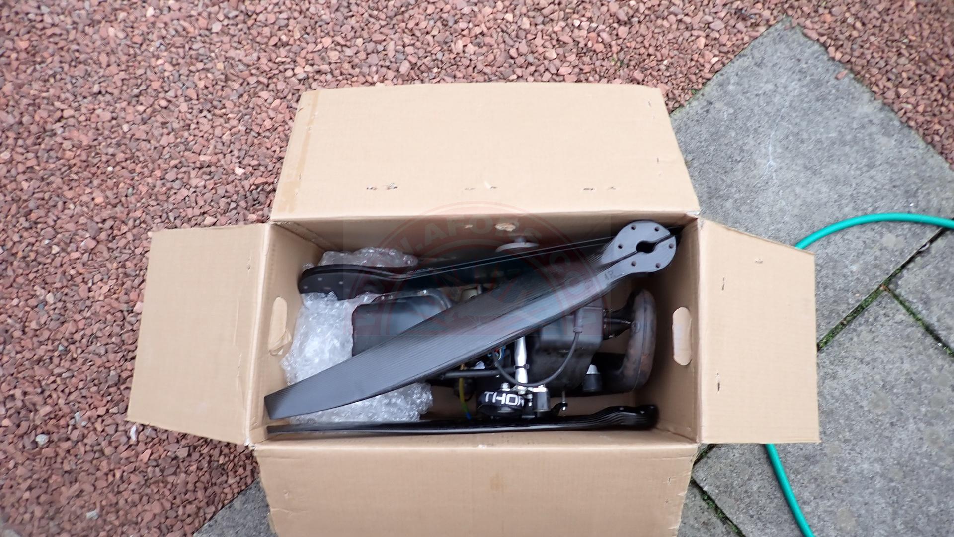 The sun shines on the mountains and trees (by Adam Kool on Unsplash)