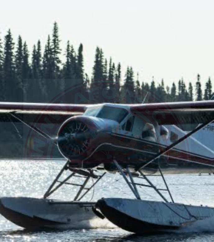 Sky Ferry Aircraft Delivery LLC 