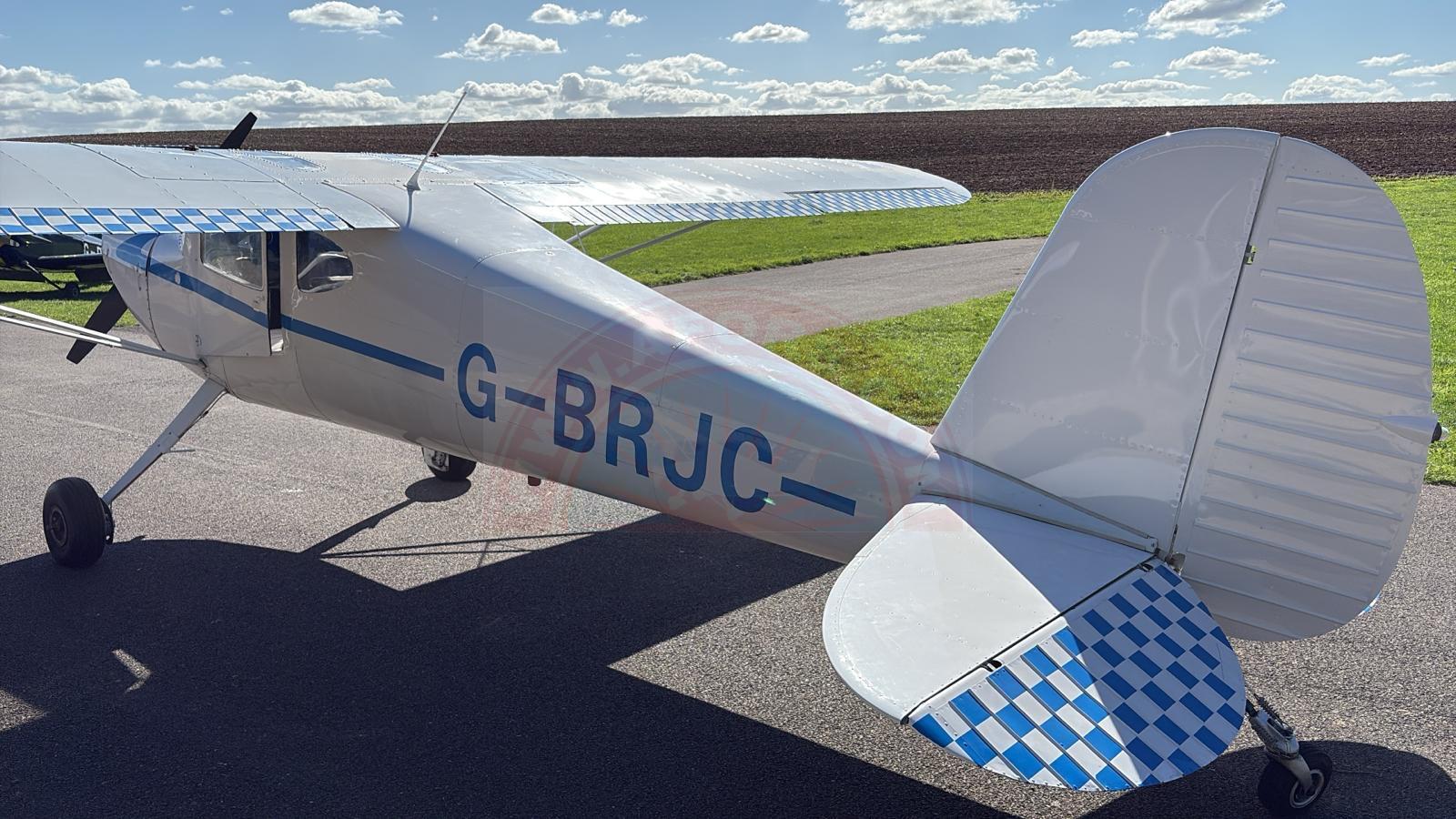 The sun shines on the mountains and trees (by Adam Kool on Unsplash)