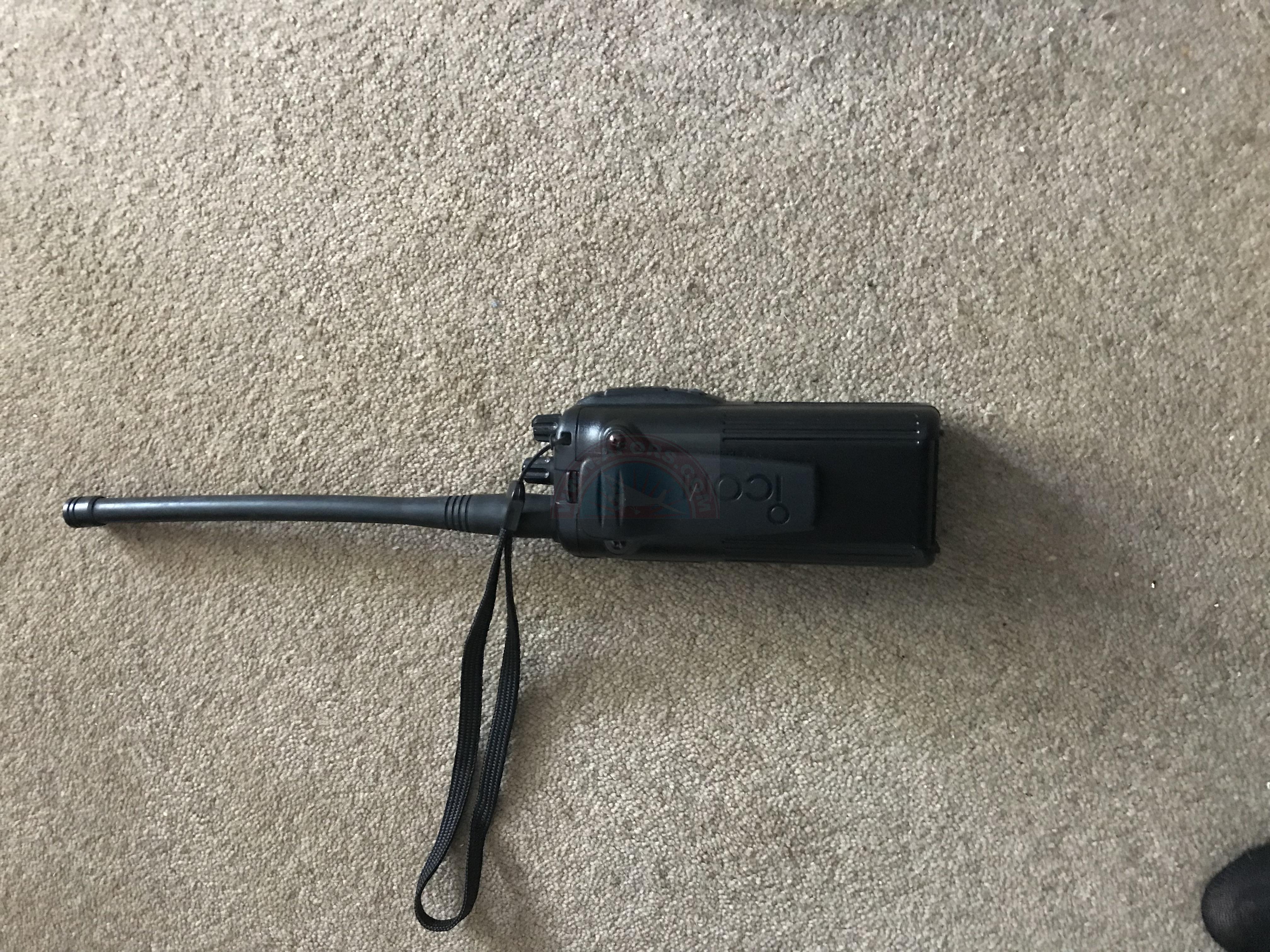 The sun shines on the mountains and trees (by Adam Kool on Unsplash)