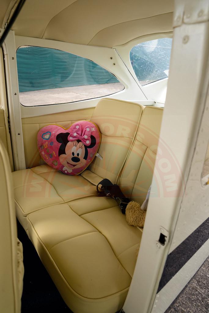 The sun shines on the mountains and trees (by Adam Kool on Unsplash)