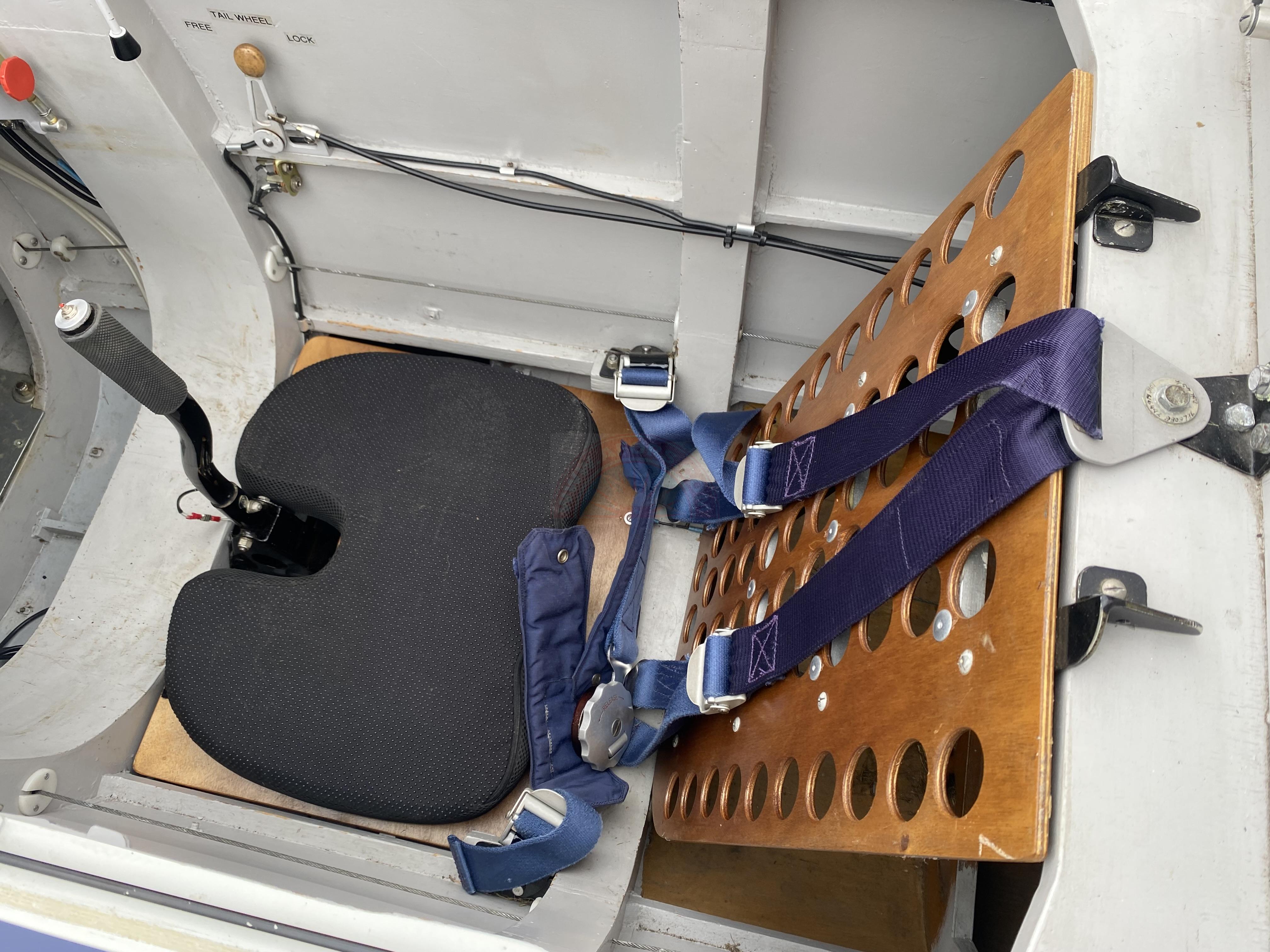 The sun shines on the mountains and trees (by Adam Kool on Unsplash)