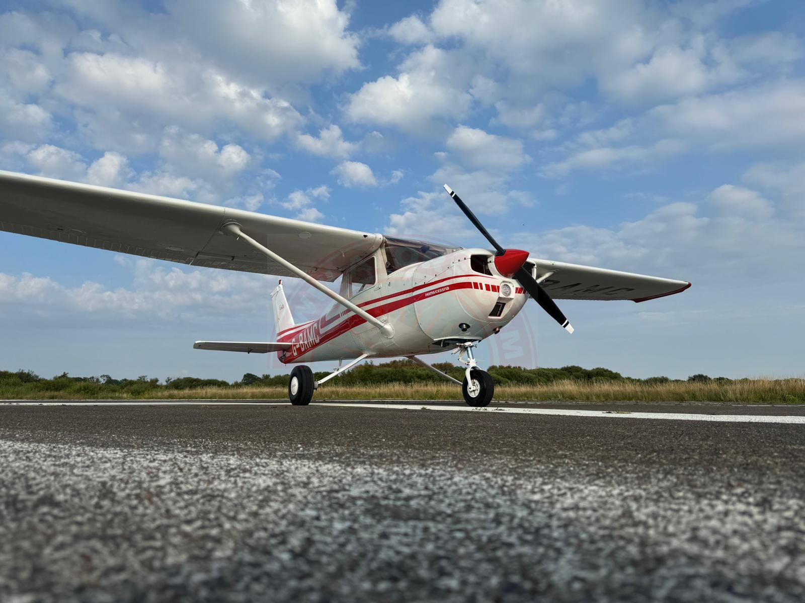 The sun shines on the mountains and trees (by Adam Kool on Unsplash)
