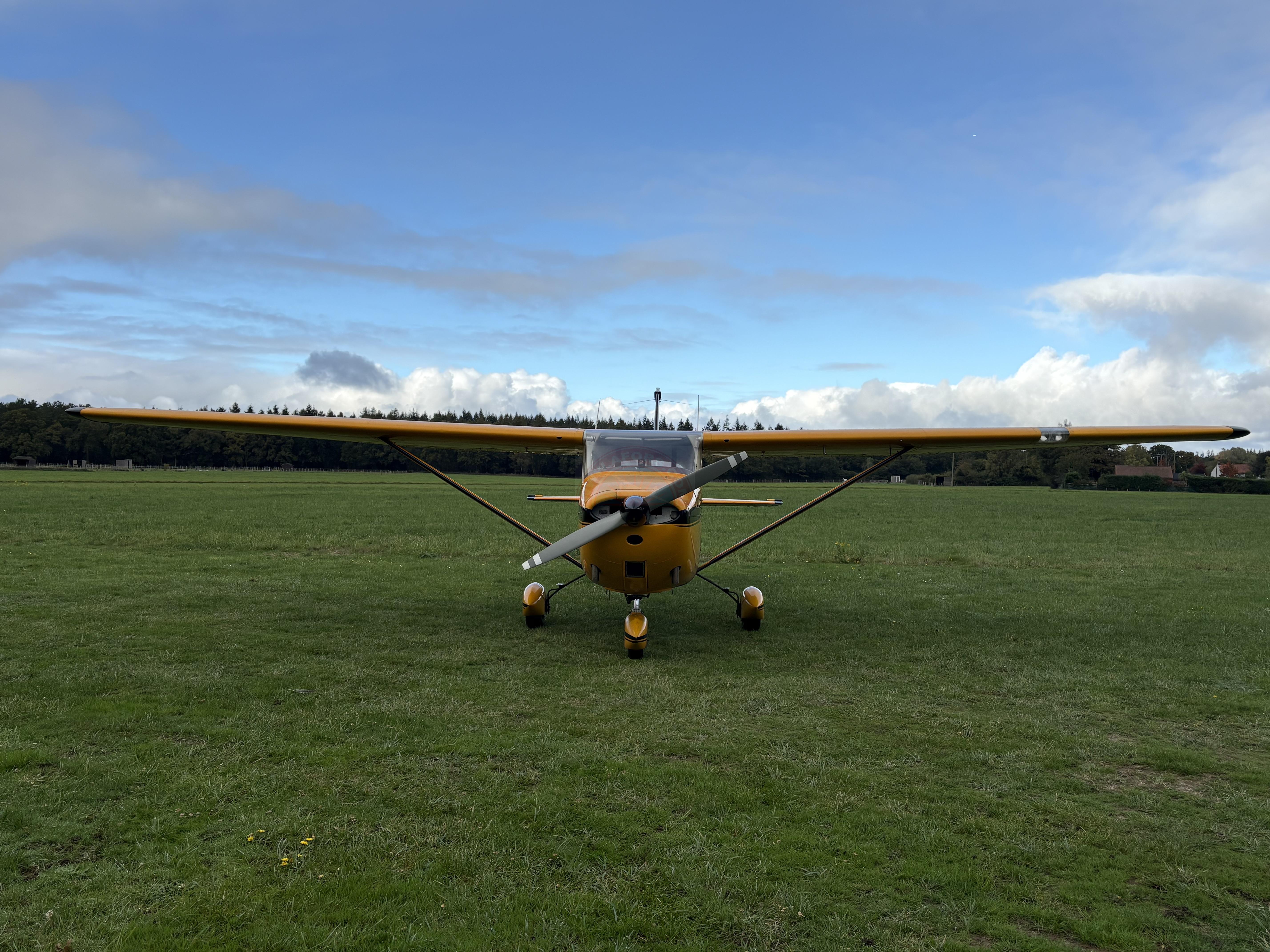 The sun shines on the mountains and trees (by Adam Kool on Unsplash)