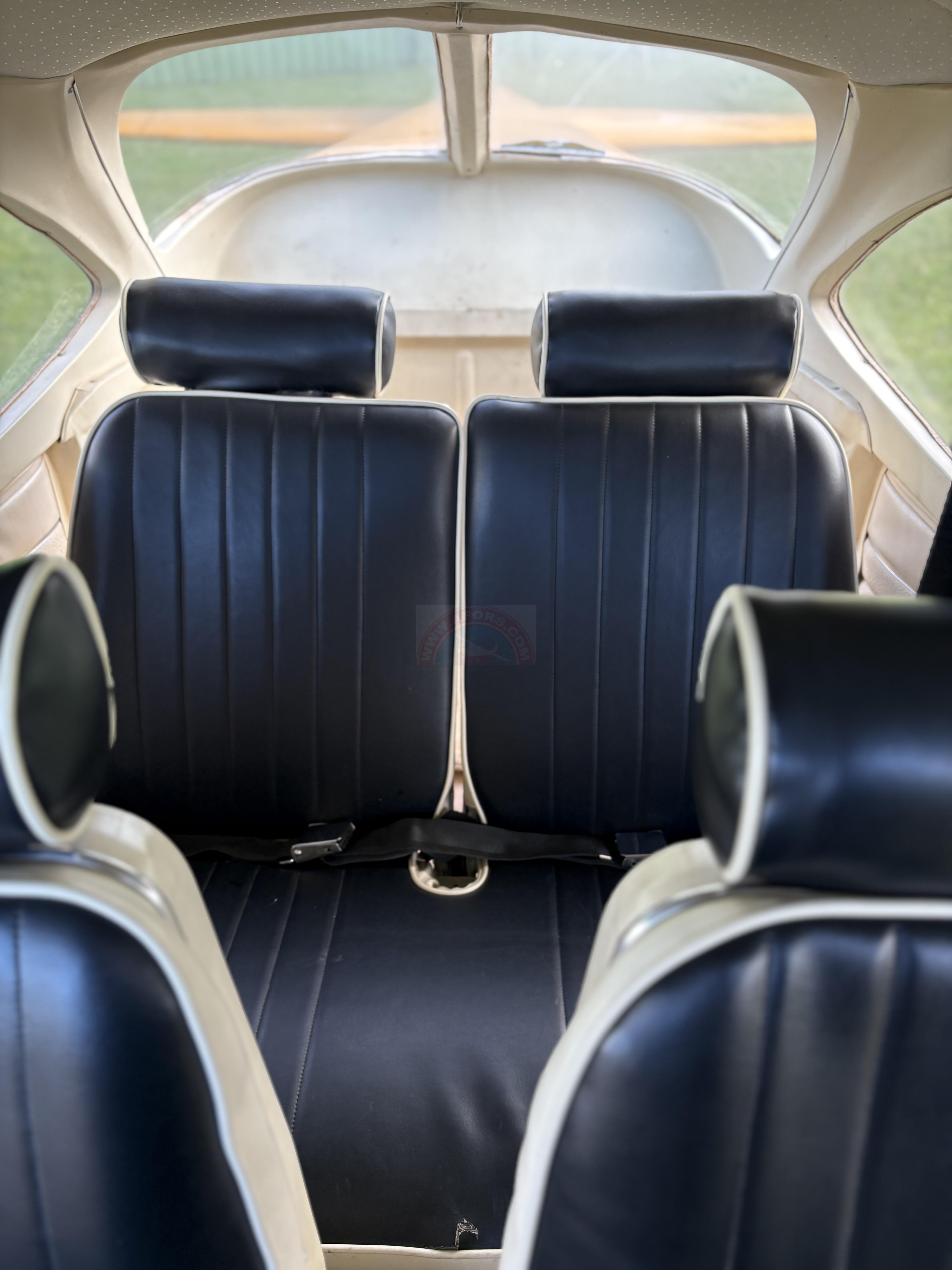 The sun shines on the mountains and trees (by Adam Kool on Unsplash)