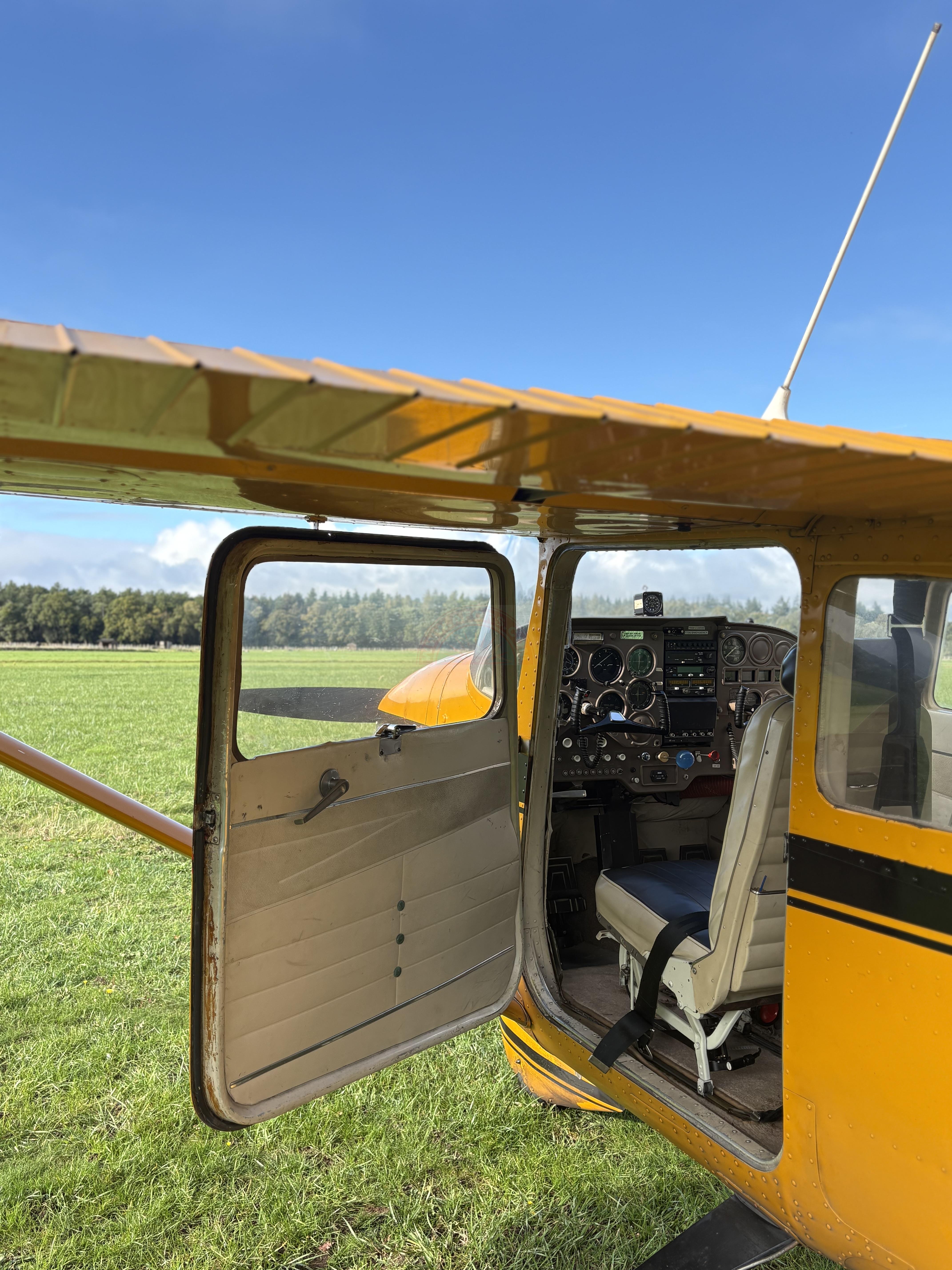 The sun shines on the mountains and trees (by Adam Kool on Unsplash)