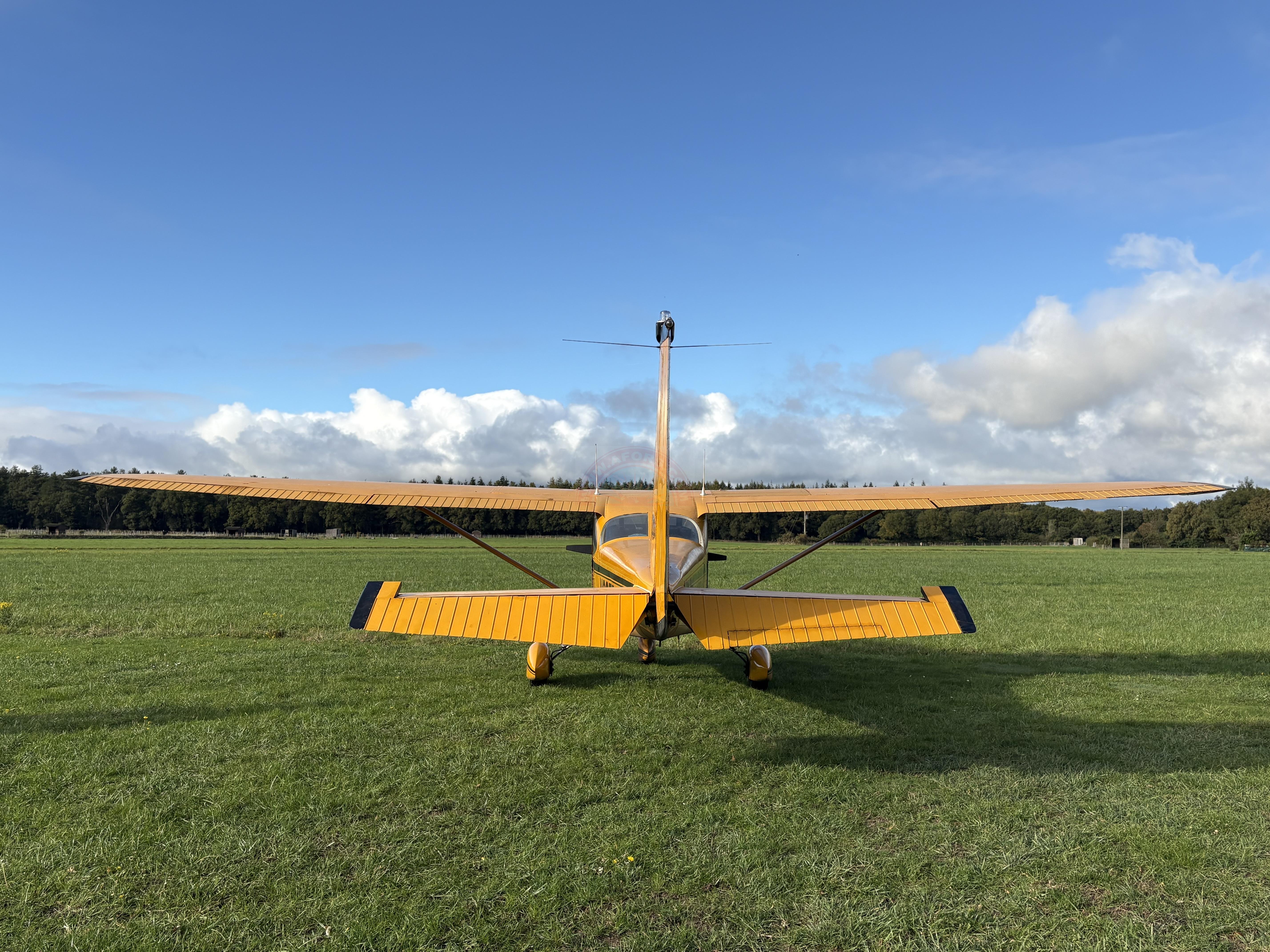 The sun shines on the mountains and trees (by Adam Kool on Unsplash)