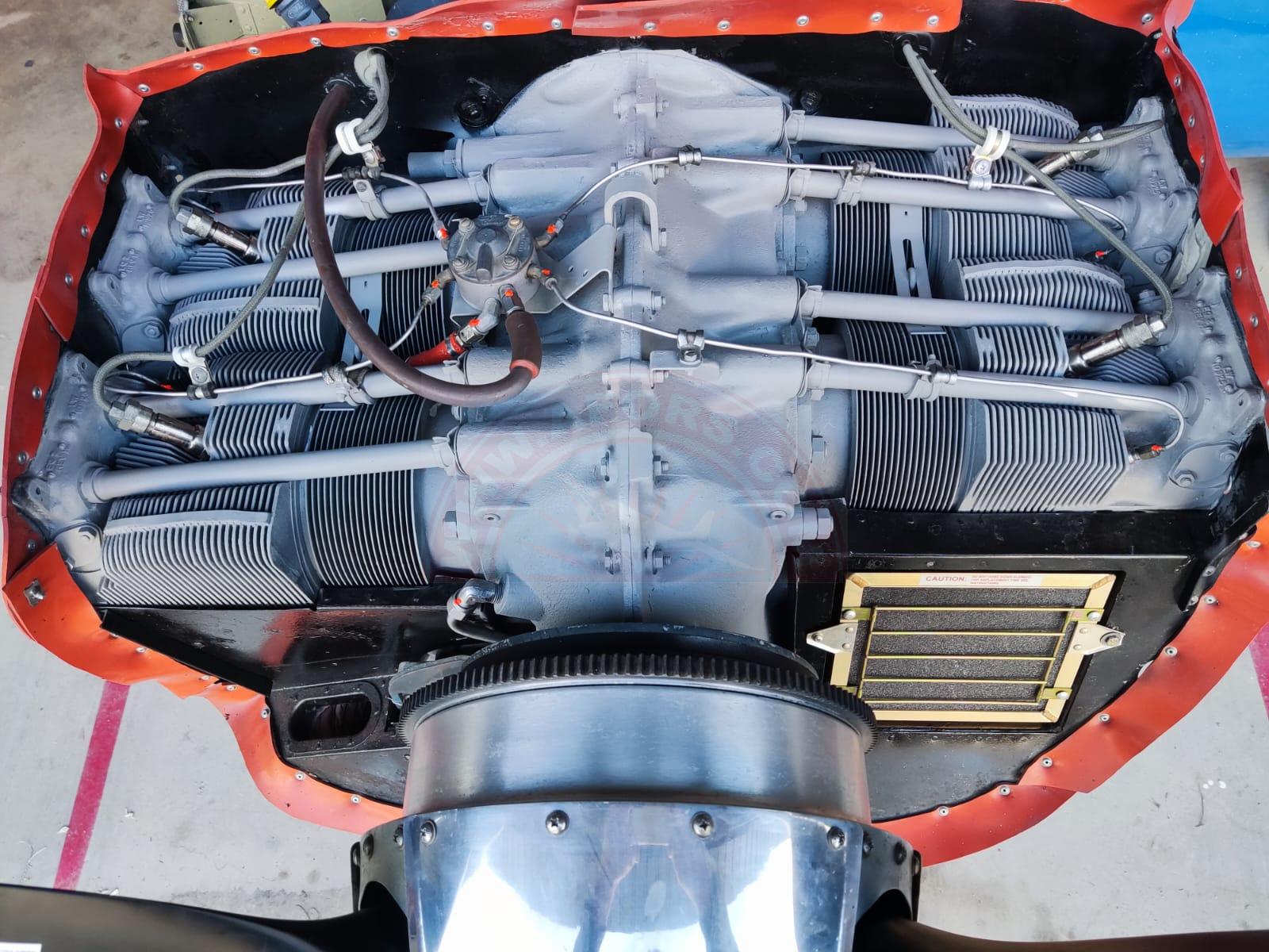 The sun shines on the mountains and trees (by Adam Kool on Unsplash)