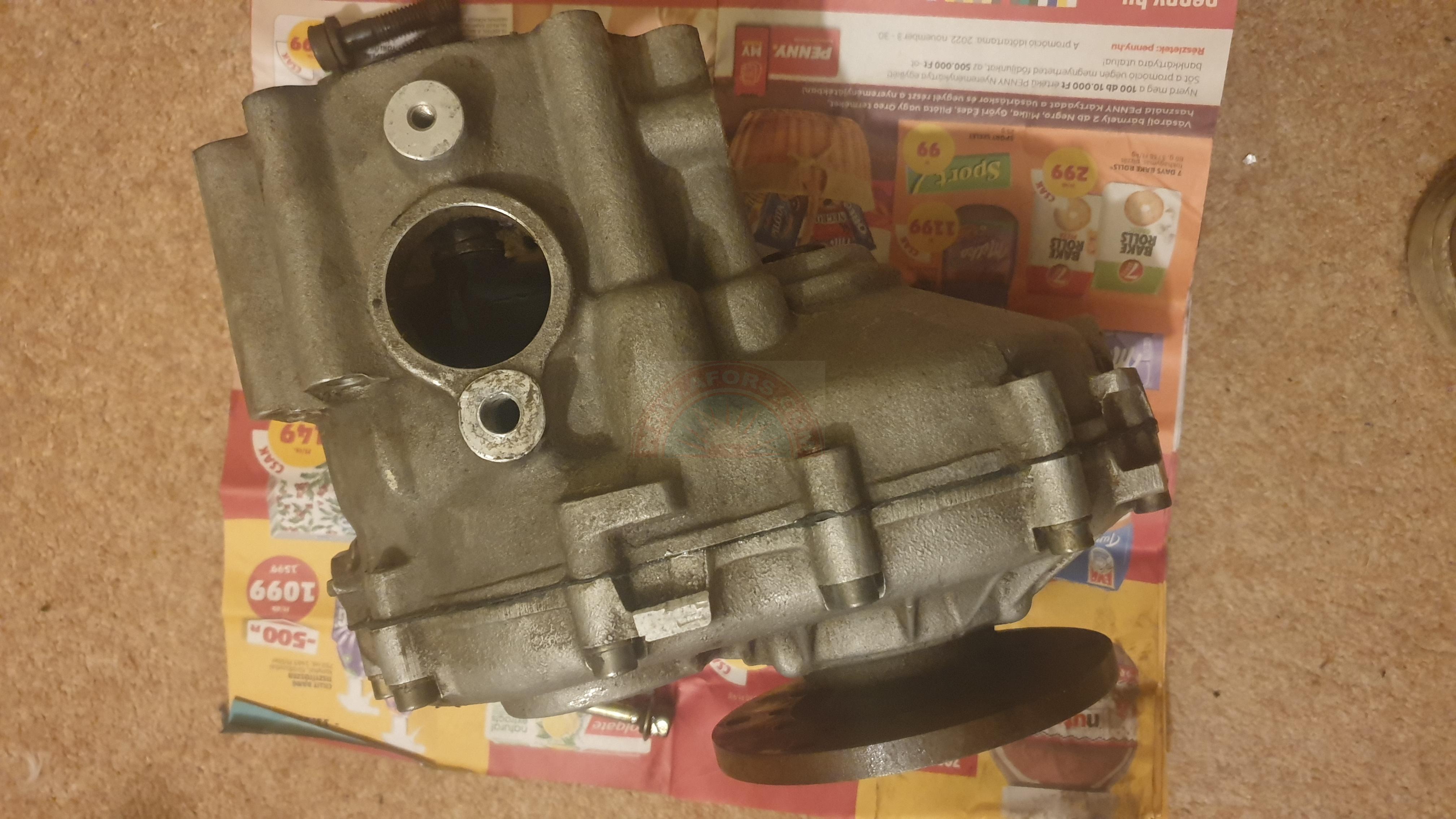 The sun shines on the mountains and trees (by Adam Kool on Unsplash)