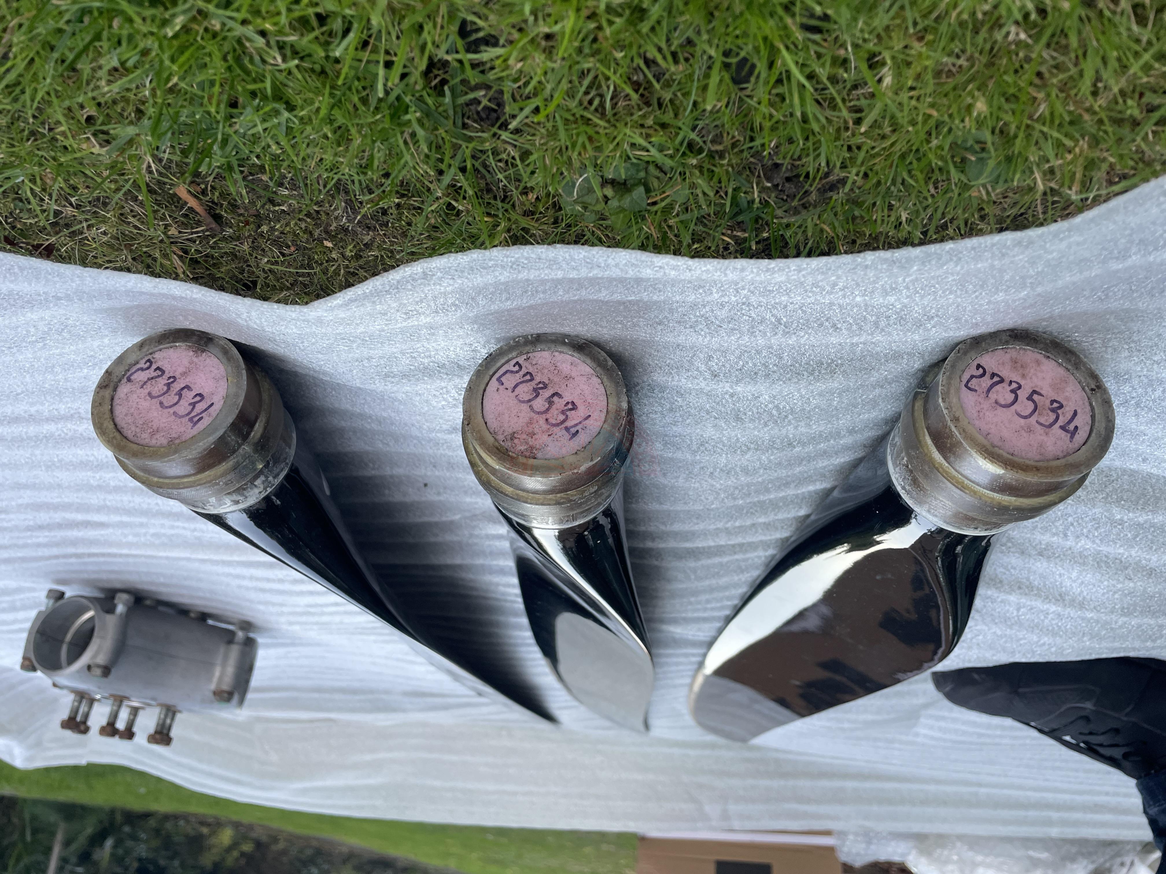 The sun shines on the mountains and trees (by Adam Kool on Unsplash)