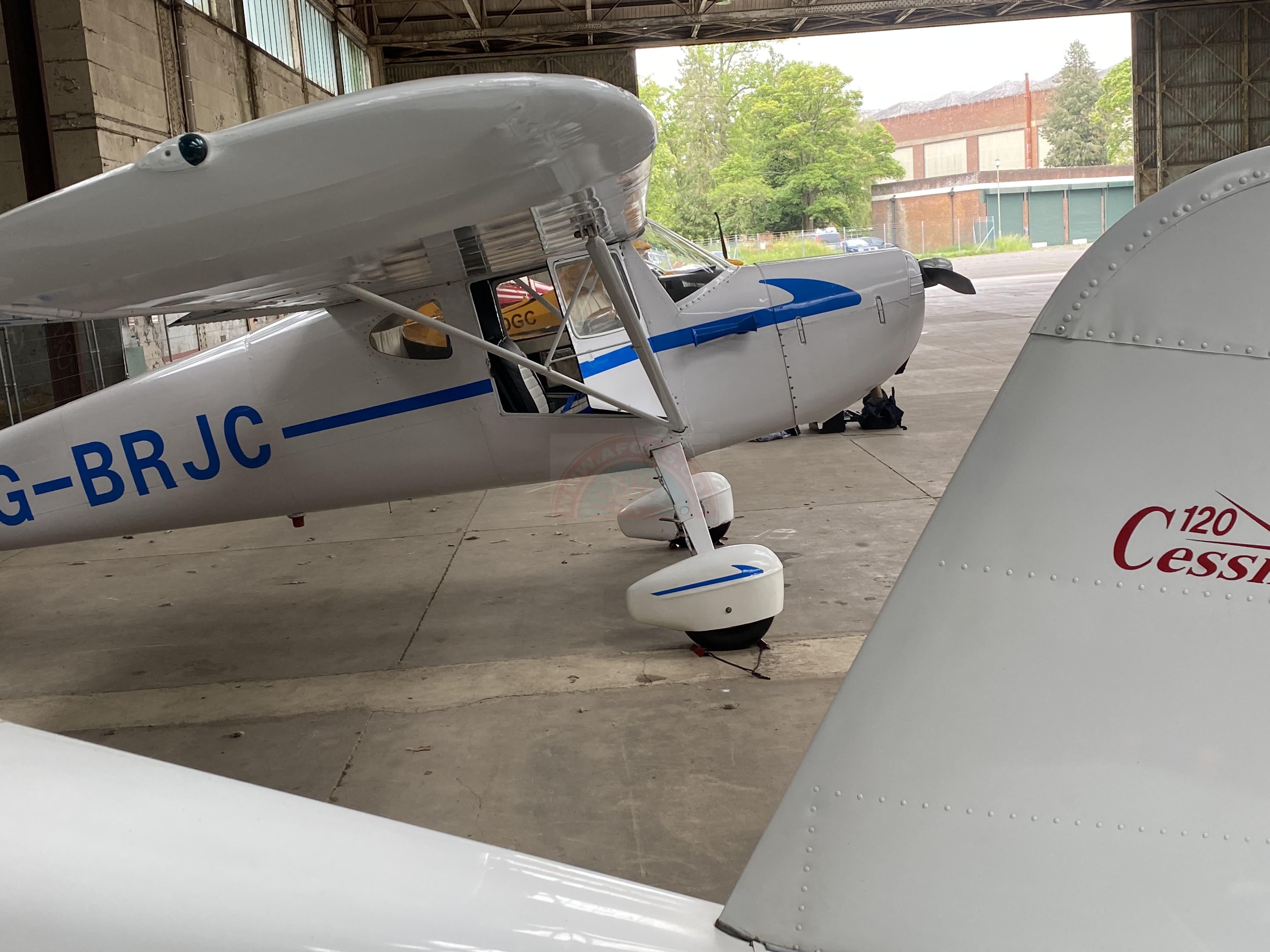 The sun shines on the mountains and trees (by Adam Kool on Unsplash)