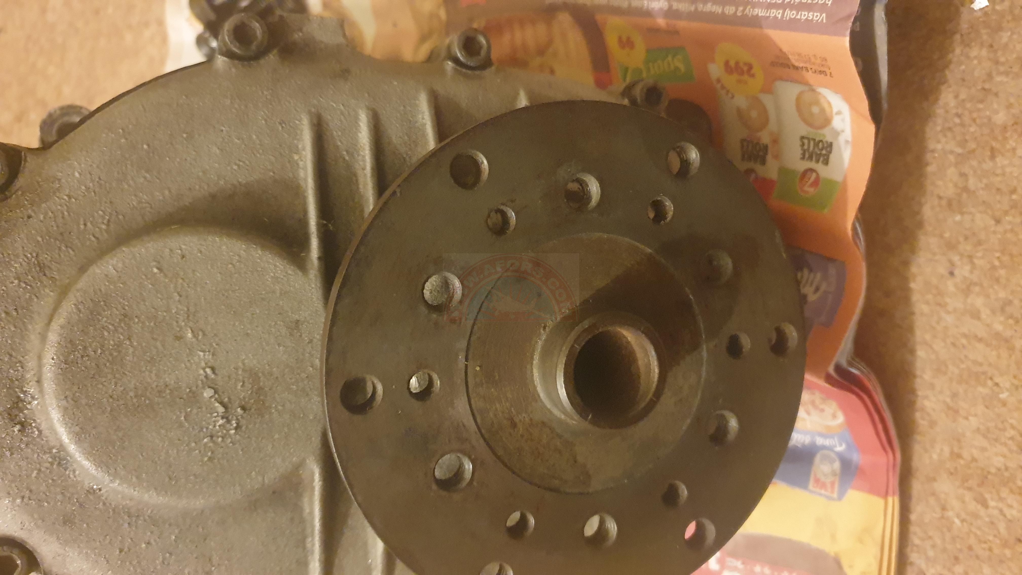 The sun shines on the mountains and trees (by Adam Kool on Unsplash)