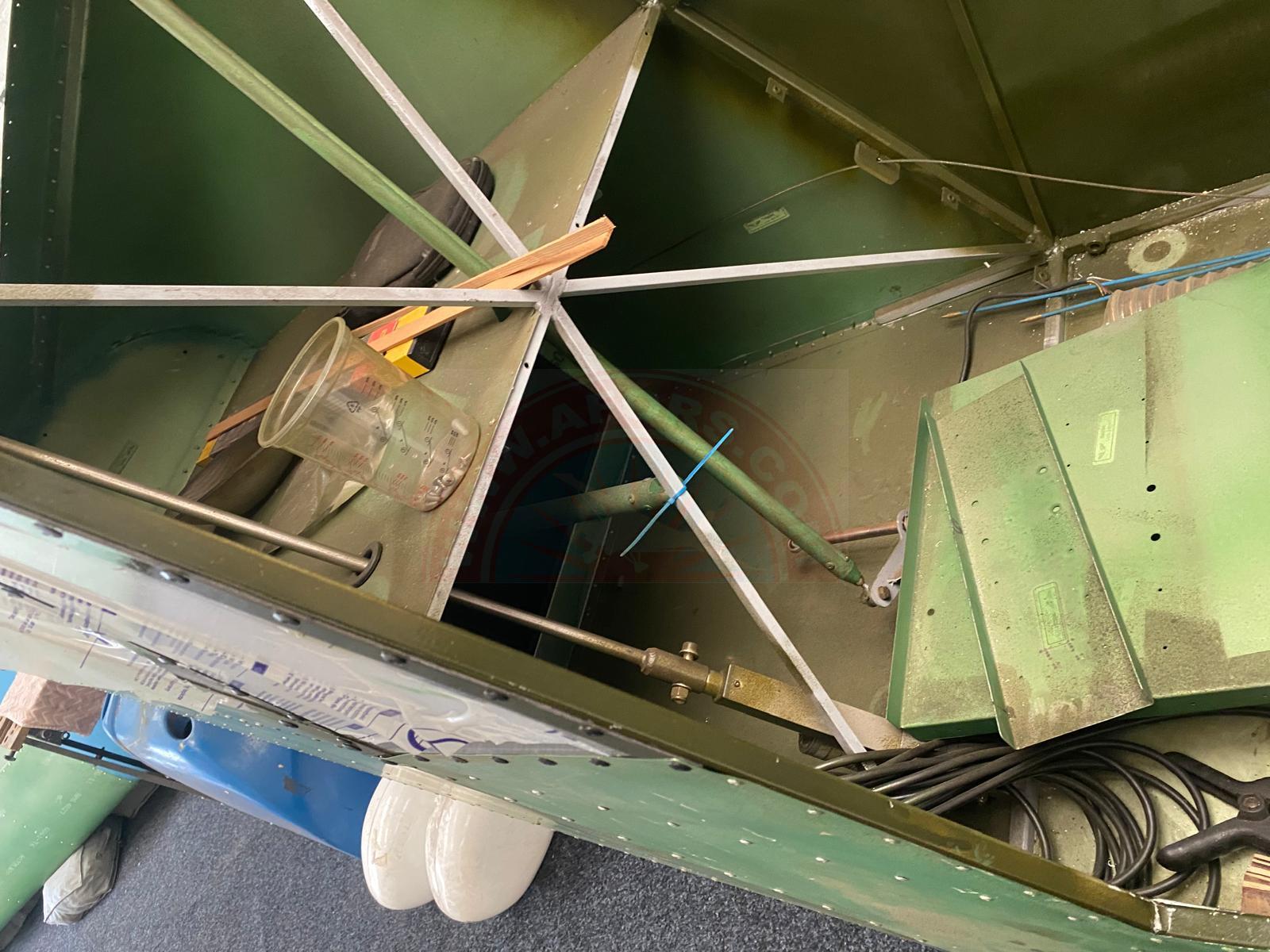 The sun shines on the mountains and trees (by Adam Kool on Unsplash)