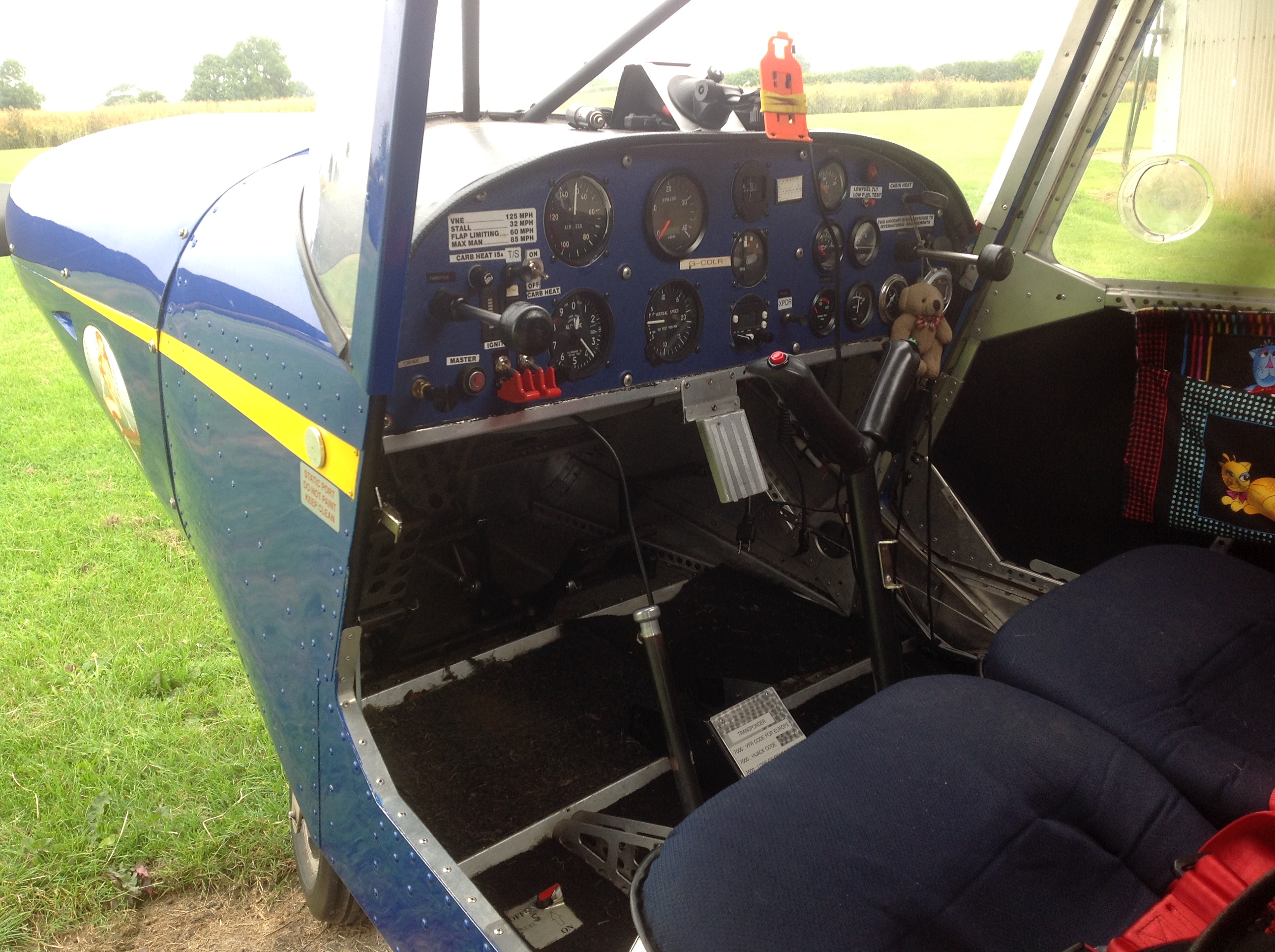 Icp Savannah Flight Manual
